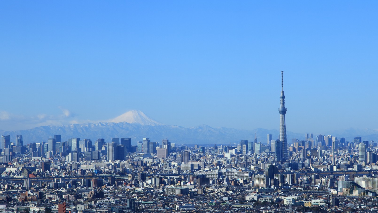 Mt. Fuji and Tokyo Skytree