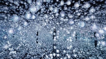 teamLab Borderless & Zojoji Temple